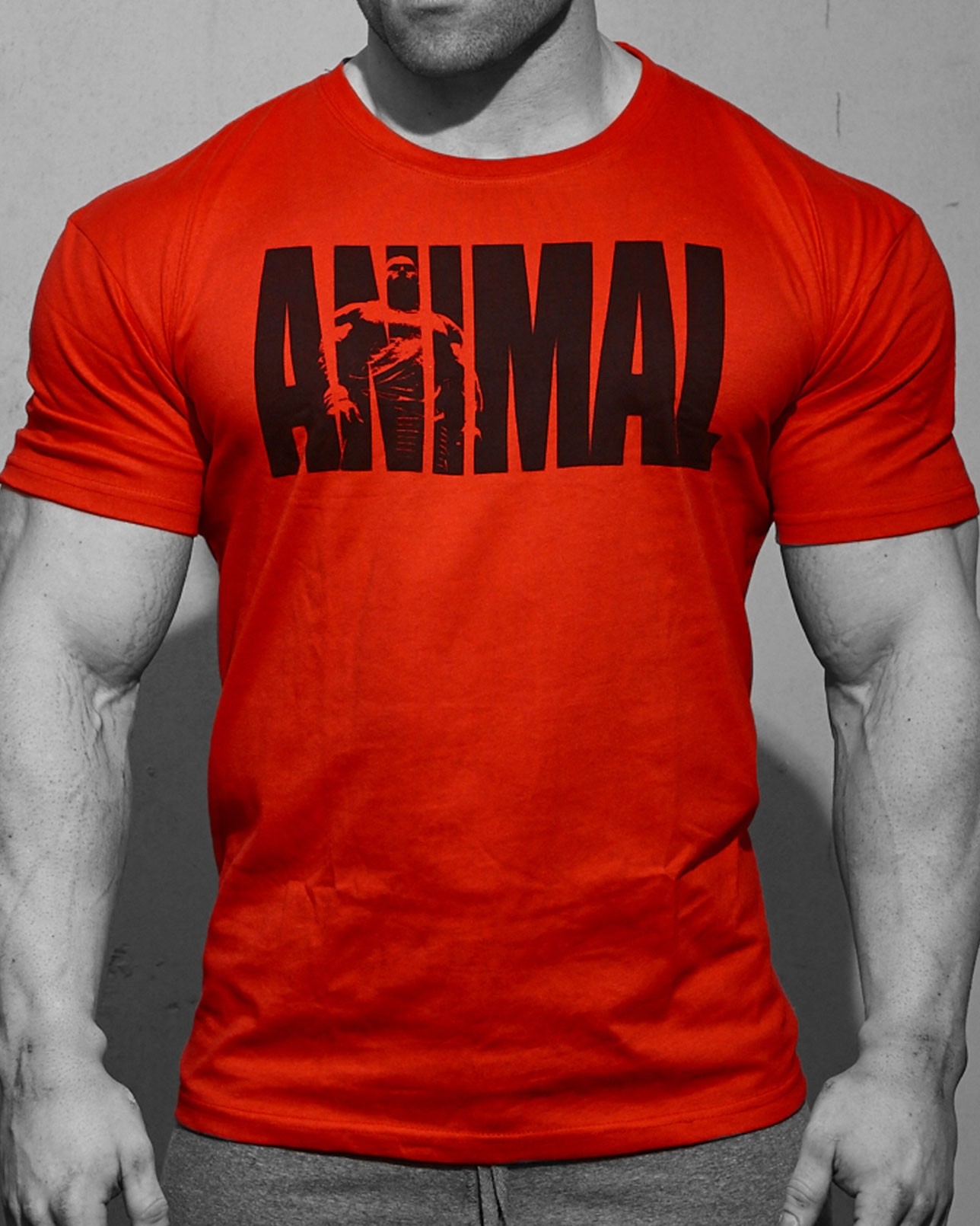Animal Iconic T-Shirt • FittShell